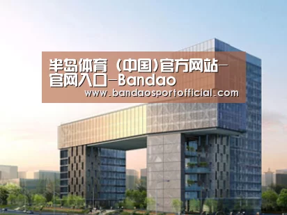 案例展示四(图1)
