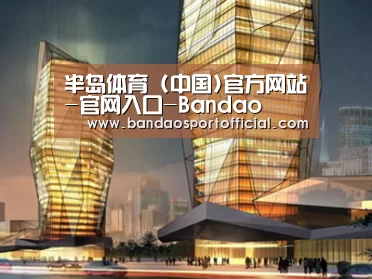 案例展示三(图1) 案例展示三(图1)