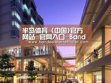 案例展示一(图1)