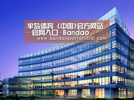 案例展示五