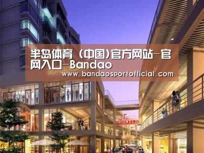 案例展示一