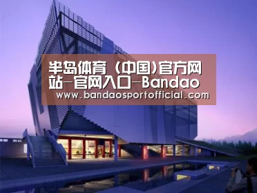 案例展示六