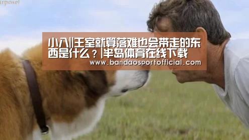 小八||王室就算落难也会带走的东西是什么?|半岛体育在线下载(图3) 半岛体育在线下载