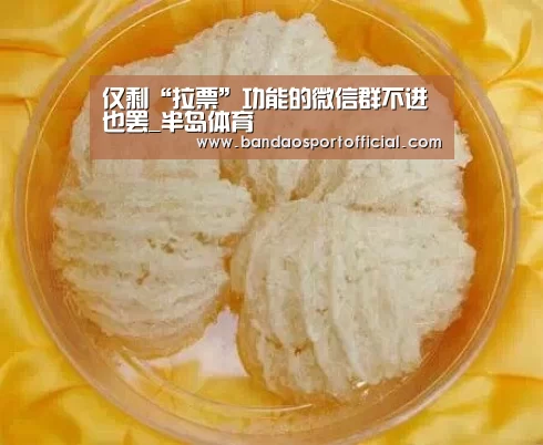 仅剩“拉票”功能的微信群不进也罢_半岛体育(图1) 仅剩“拉票”功能的微信群不进也罢_半岛体育(图1)