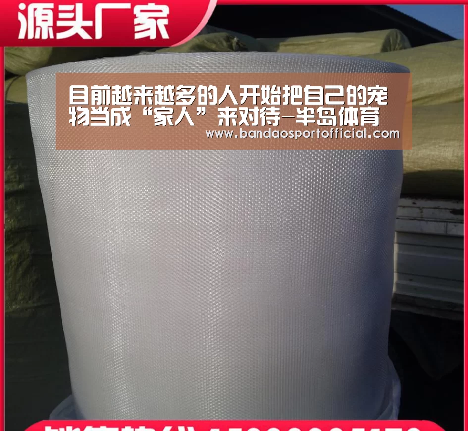 半岛体育