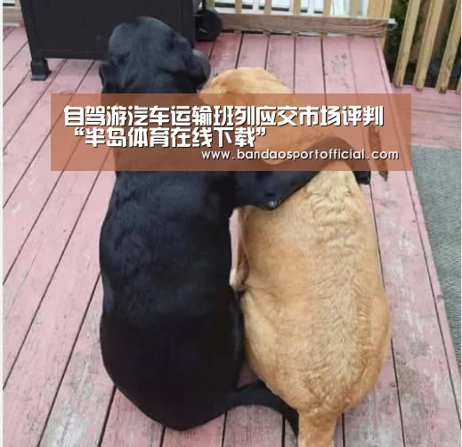 自驾游汽车运输班列应交市场评判“半岛体育在线下载”(图1) 自驾游汽车运输班列应交市场评判“半岛体育在线下载”(图1)
