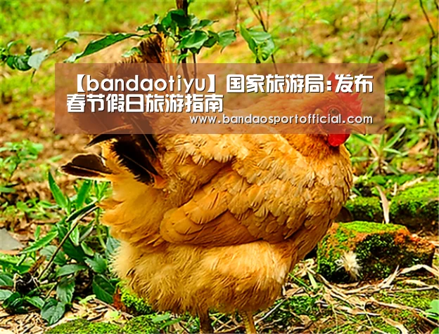【bandaotiyu】国家旅游局:发布春节假日旅游指南(图3) 半岛体育