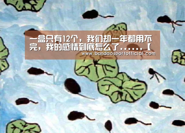 一盒只有12个,我们却一年都用不完,我的感情到底怎么了......【半岛体育官网】(图4) 半岛体育