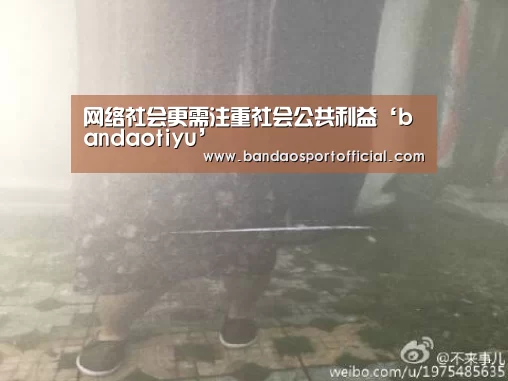 网络社会更需注重社会公共利益‘bandaotiyu’(图2) 半岛体育