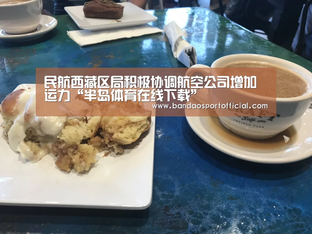 民航西藏区局积极协调航空公司增加运力“半岛体育在线下载”(图2) 半岛体育