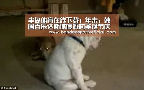 半岛体育