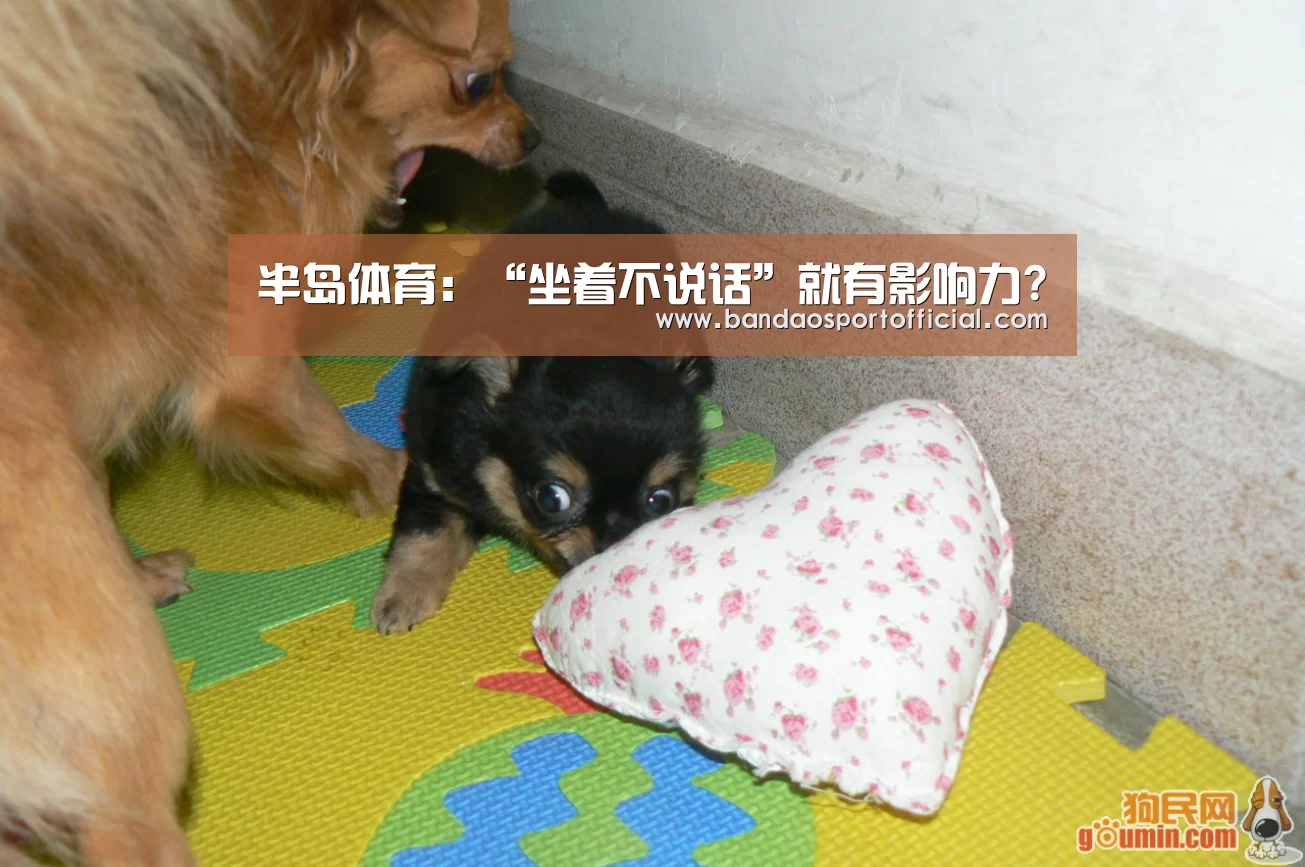 半岛体育